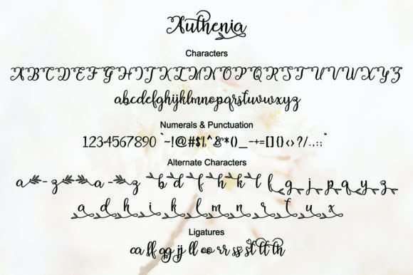 Authenia Font - Preview 5