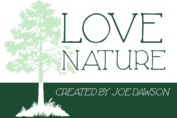 Love Nature Font PNG with transparent background - Preview 1