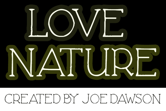 Love Nature Font PNG with transparent background - Preview 2