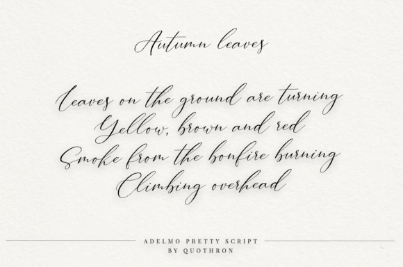 Adelmo Font - Preview 4