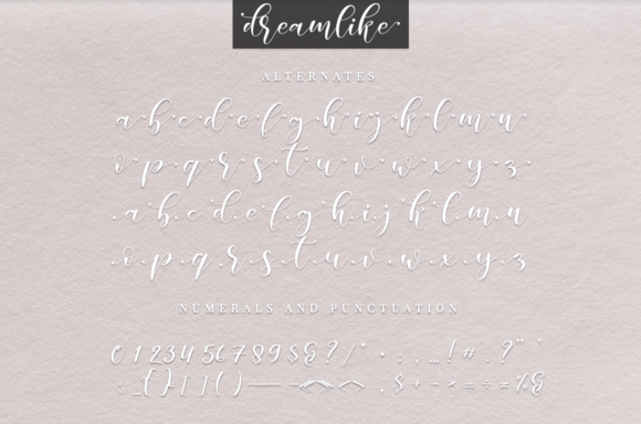Dreamlike Script Font - Preview 3
