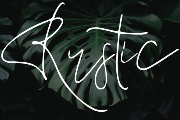 Anastasia Font - Preview 4