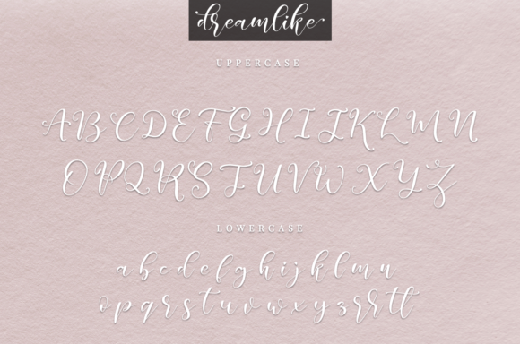 Dreamlike Script Font - Preview 1