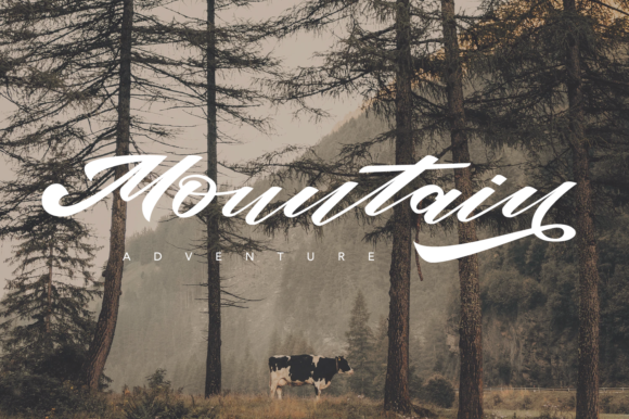 Brucke Font - Preview 6