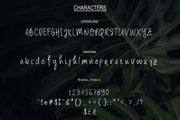 Scientia Venit Font PNG with transparent background - Preview 1
