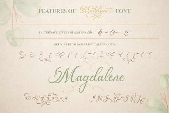Madelican Font PNG with transparent background - Preview 3