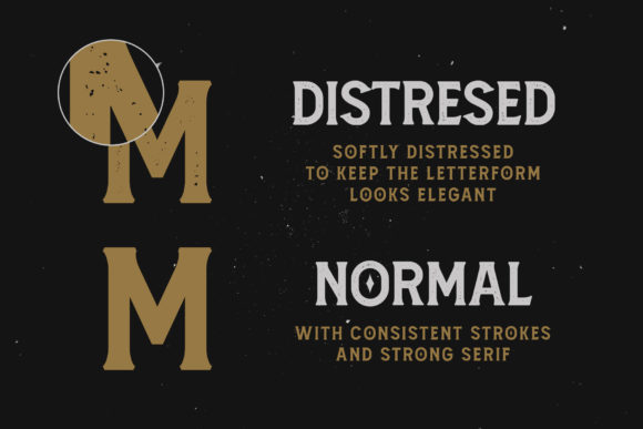 Amnestia Font - Preview 4