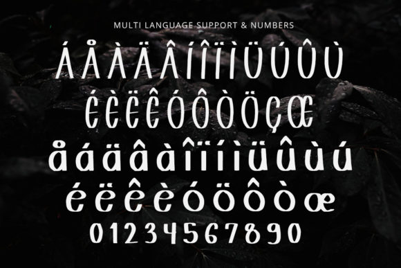 Shavnaz Font PNG with transparent background - Preview 3