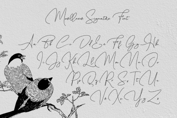 Mowllnew Font PNG with transparent background - Preview 3