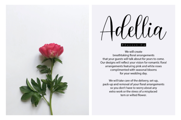 Delara Font PNG with transparent background - Preview 5