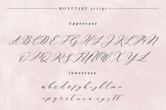 Monttary Font PNG with transparent background - Preview 4