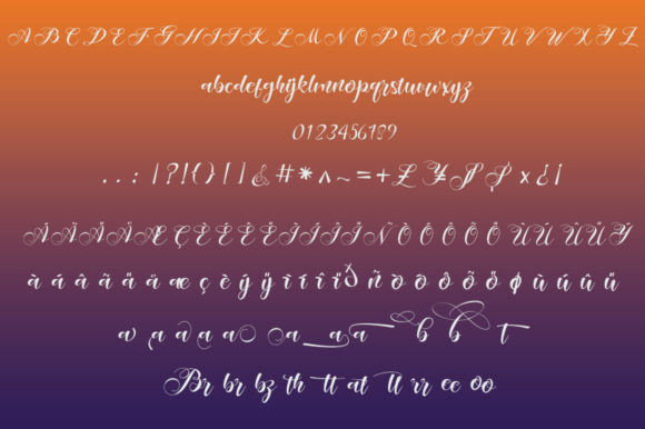 Antonega Font - Preview 4