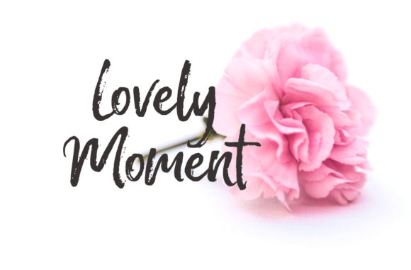 Meredith Font PNG with transparent background - Preview 1