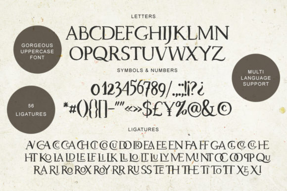 Dragonfly Font - Preview 2