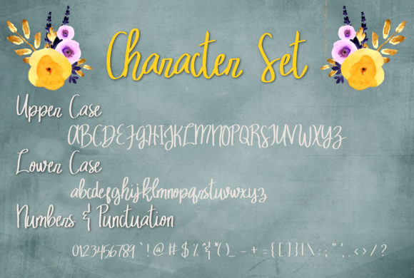 Mellow Owl Font PNG with transparent background - Preview 3