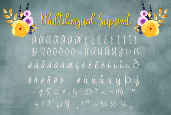 Mellow Owl Font PNG with transparent background - Preview 4