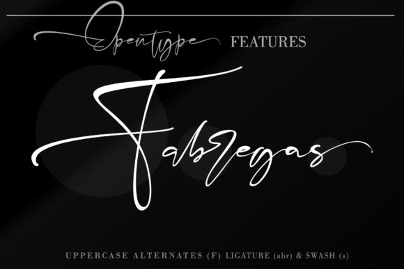 Fabregas Font - Preview 4
