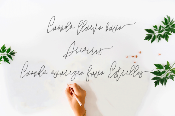Marthilla Font PNG with transparent background - Preview 3