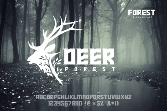 Forest Font - Preview 2