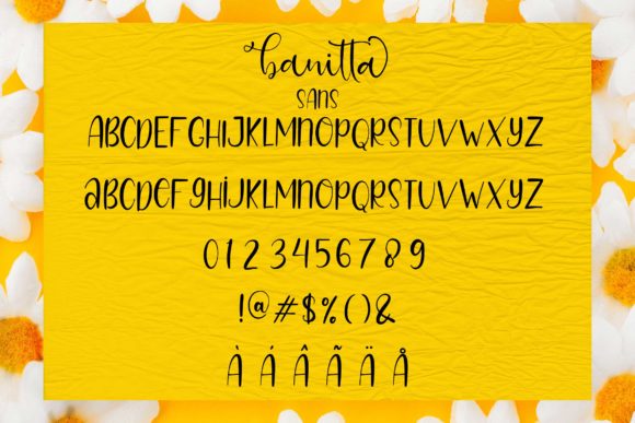 Banitta Family Font - Preview 5