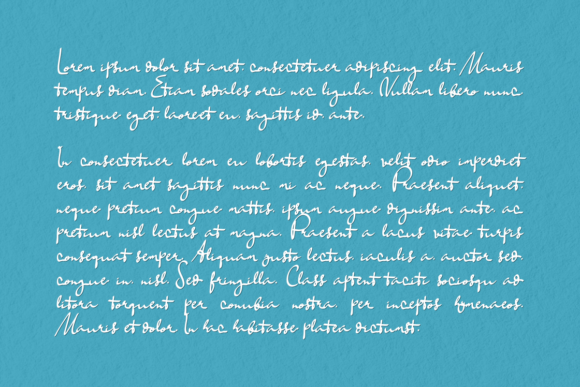 Buffalo Herder Font - Preview 1