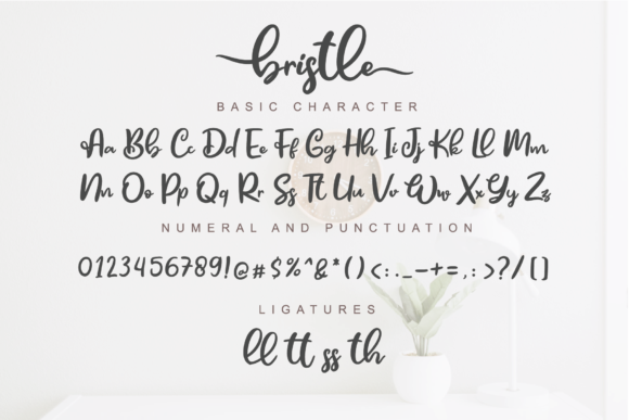 Bristle Font - Preview 2