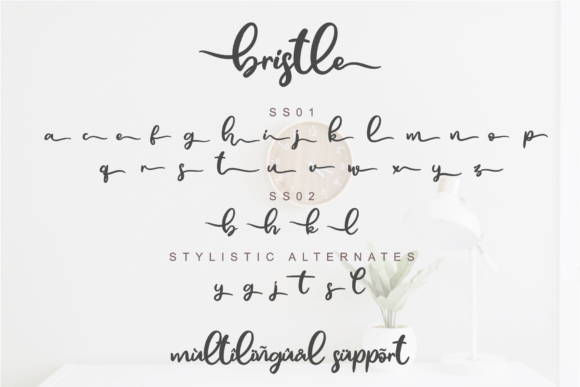 Bristle Font - Preview 3
