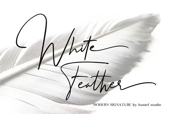 Binetta Signature Font - Preview 4