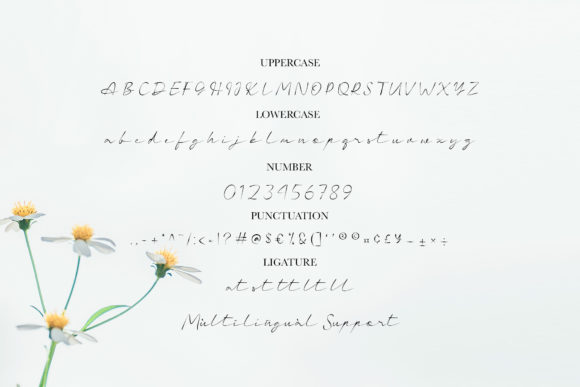 Charlotte Font - Preview 6