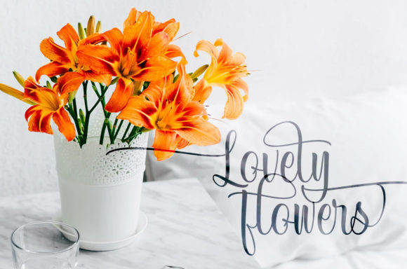 Elegant bride and groom script wedding fonts for Cricut templates.