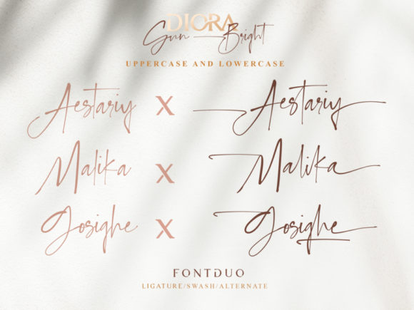 Diora Duo Font - Preview 2
