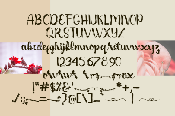 Bine Font PNG with transparent background - Preview 4