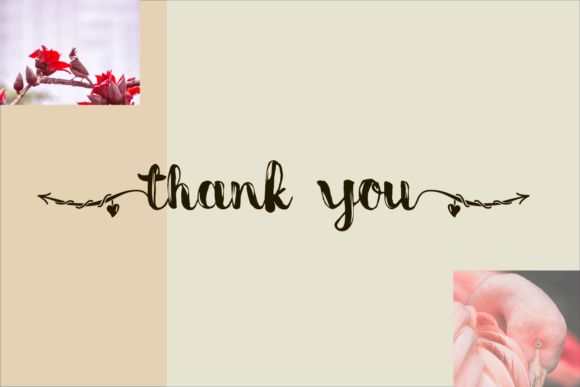 Bine Font PNG with transparent background - Preview 5