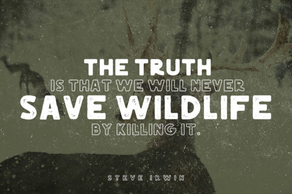 Antler Bold Font - Preview 2