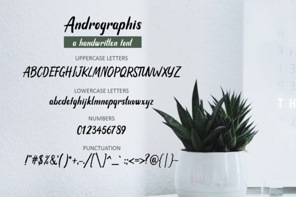 Andrographis Font - Preview 2