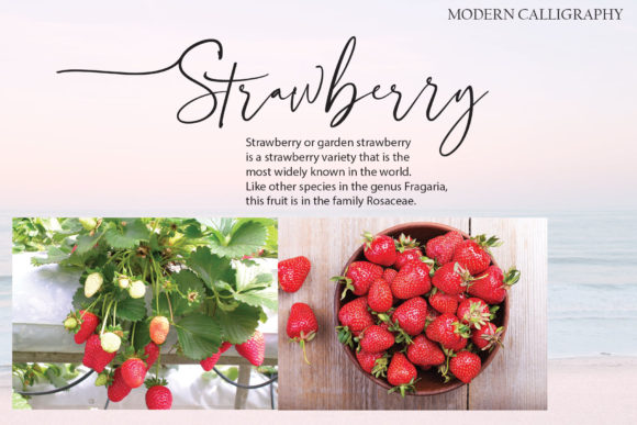 Blackstory Font - Preview 2