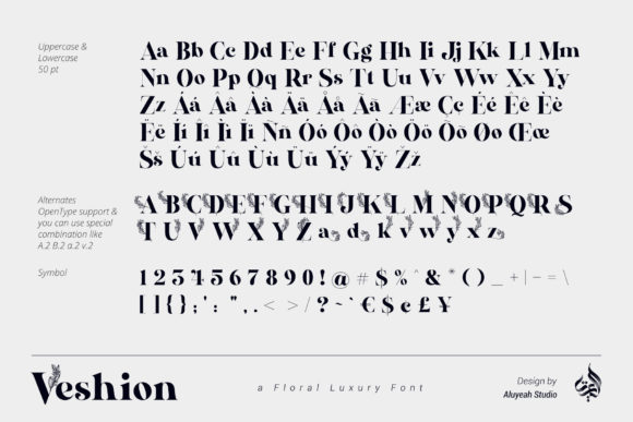 AL Veshion Font - Preview 5