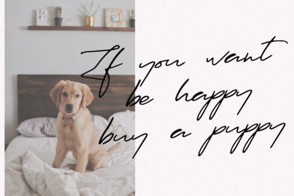 Ramona Font PNG with transparent background - Preview 1