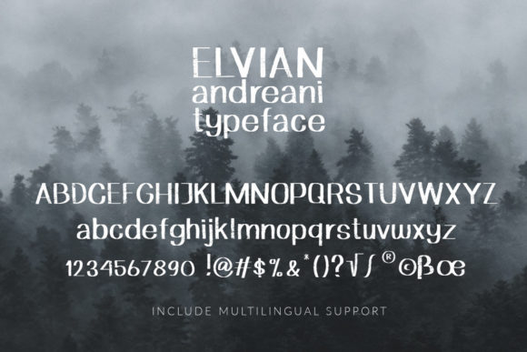 Elvian Andreani Font - Preview 4