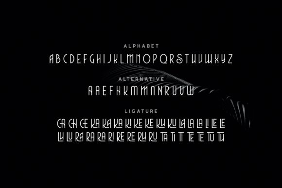 Charlie Font - Preview 5
