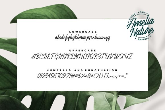 Amelia Nature Font - Preview 5
