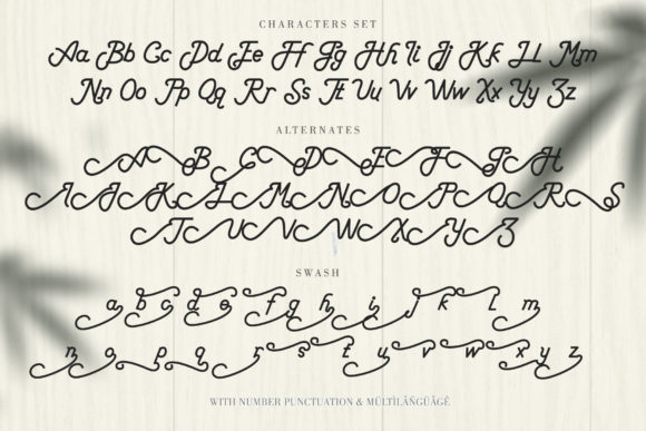 Anderson Silva Font - Preview 5