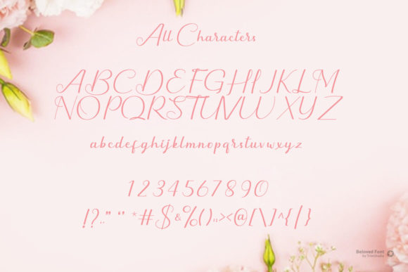 Beloved Font - Preview 5