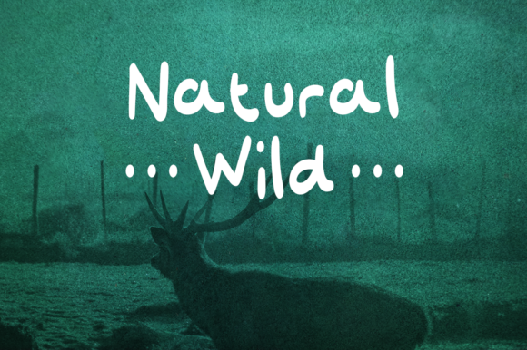 Deschamber Font - Preview 4