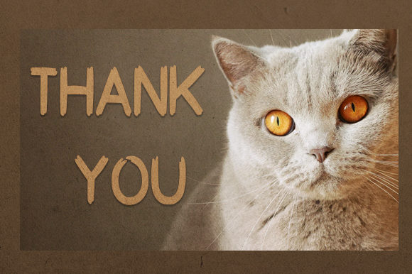 Catguaret Font - Preview 5