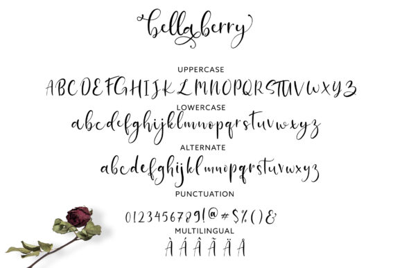 Bella Berry Font - Preview 4