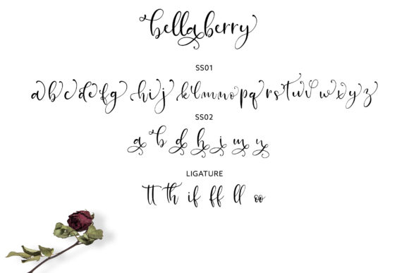 Bella Berry Font - Preview 5