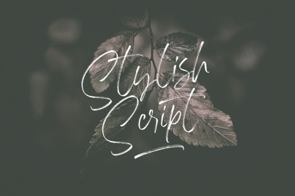 Flassty Font - Preview 5