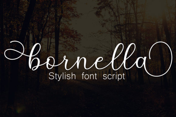 Anisha Font - Preview 2