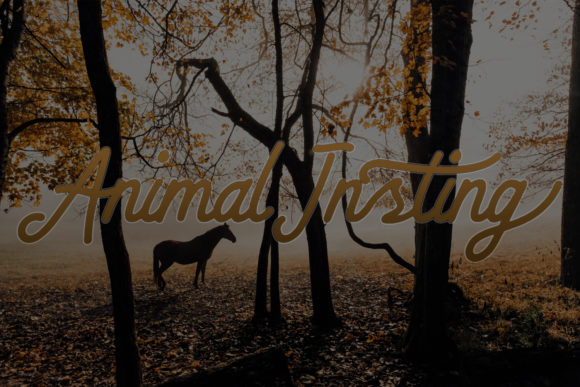 Bradlay Font - Preview 3